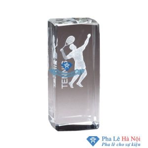PHA LE 3D NGUOI CHOI TENNIS