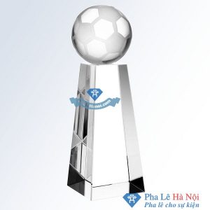 CUP PHA LE THE THAO BONG DA THAN KIM TU THAP