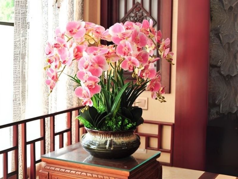 Hoa nhựa PE/PVC cải tiến